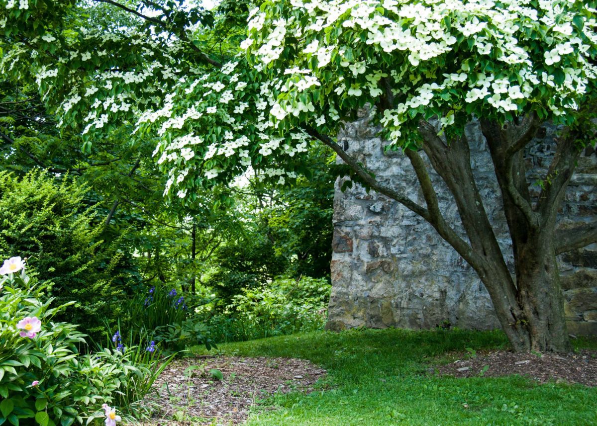 Old Water Cistern