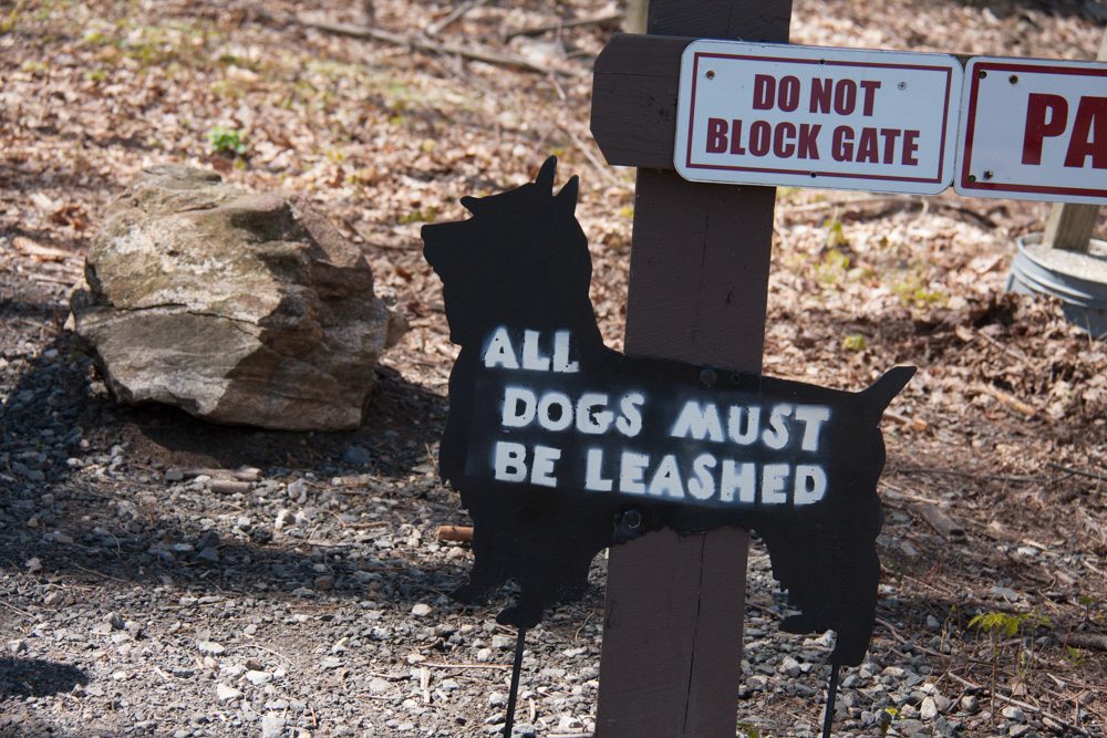 all-dogs-must-be-leashed-scotty-dog-sign