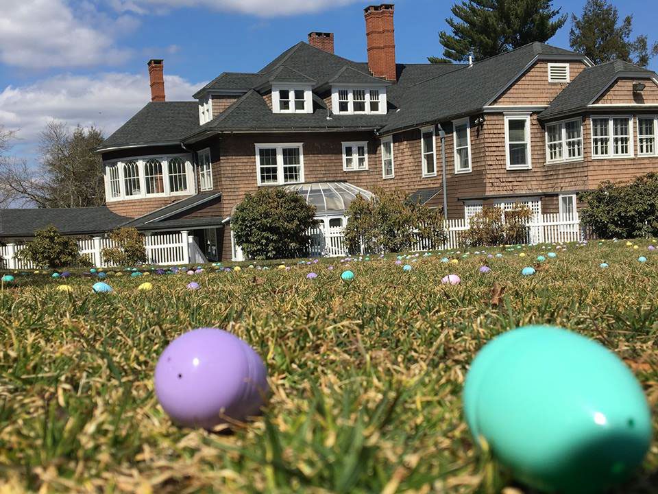 plastic-eggs-scattered-on-lawn-for-egg-hunt-fundraiser