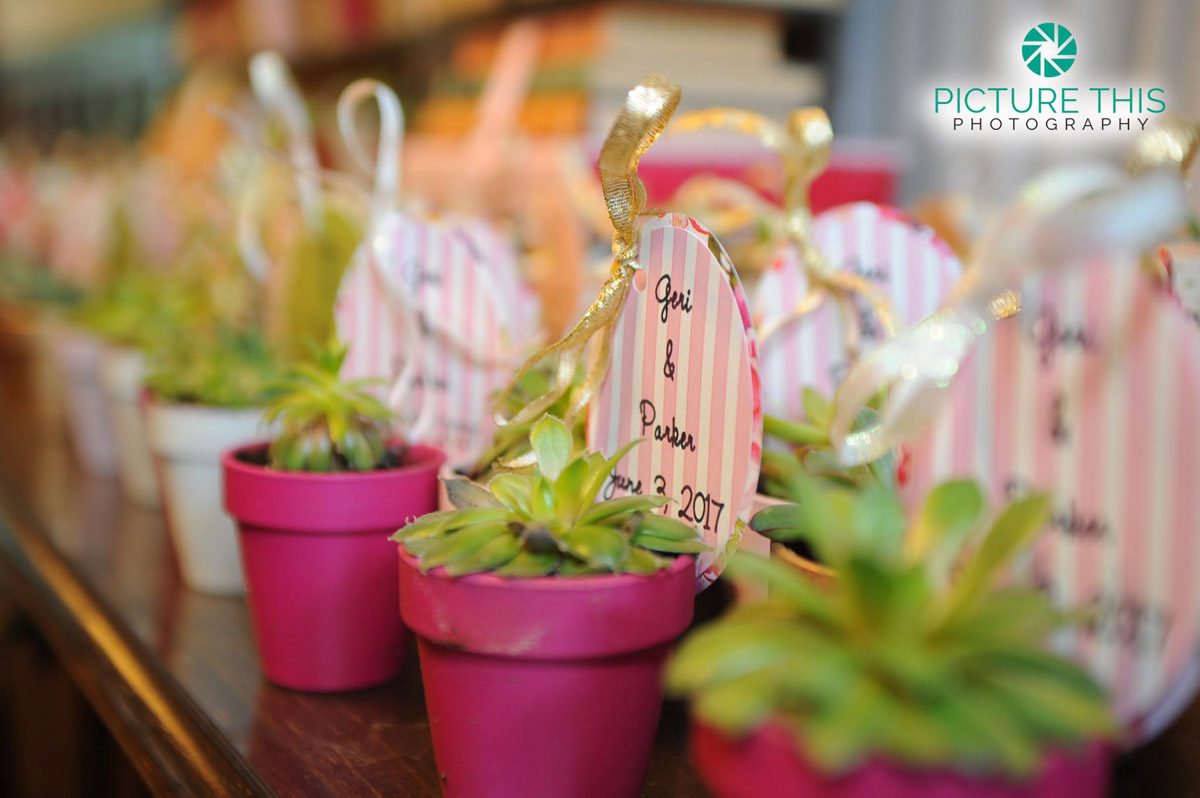 wedding-guest-favors-of-small-potted-succulents