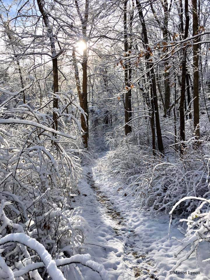 hiking-trail-covered-in-snow